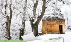 روزشمار الکامپ مازندران
